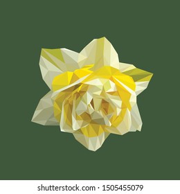 Low poly vector of a blooming yellow white flower. Seen from front direction.