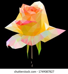 Low poly vector of a blooming yellow white flower. Seen from front direction.