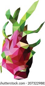 Low Poly Vector Dragon fruit