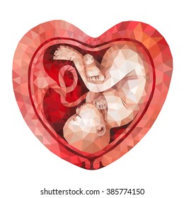 Low poly vector fetus inside the heart shaped womb isolated on white background. Polygonal baby. 