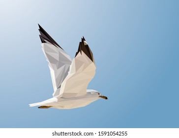 Low poly Vector of a flying seagull in high details. With blue color background. EPS 10. Ideal for illustration, wall decoration or t-shirts.