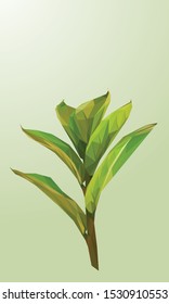 Low poly vector of a green plant in high detail. Front View. With light color background. EPS 10.