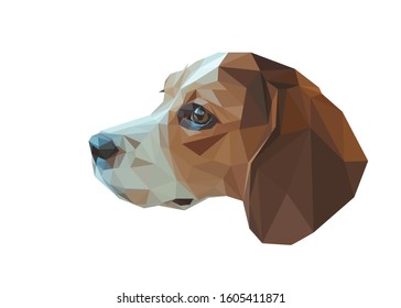 Low poly vector head of a beagle in high details. Animal illustration. With white color background. Ideal for wall decoration or t-shirts. EPS 10.