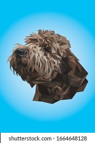 Low poly vector head of a brown poodle in high details. Animal triangle geometric illustration. Abstract polygonal art. With cyan color background. Ideal for illustration, posters or t-shirts.