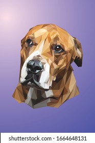 Low poly vector head of a brown dog in high details. Animal triangle geometric illustration. Abstract polygonal art. With purple color background. Ideal for illustration, posters or t-shirts.