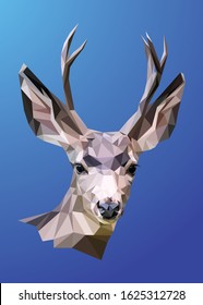 Low poly vector head of a deer in high details. Object triangle geometric illustration. Abstract polygonal art. With blue color background. Ideal for illustration, posters or t-shirts.