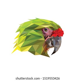 Low poly vector head of a green macaw in high detail. Right view. With white background.