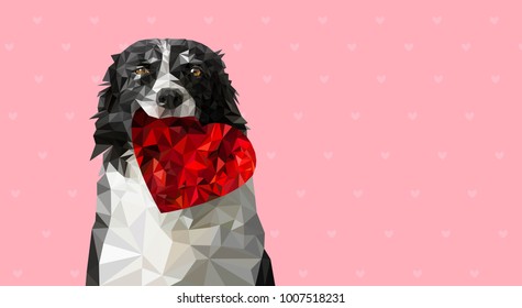 Low Poly Vector Illustration: Dog Holding Red Heart. Black and White Border Collie on Sweet Romantic Valentines Greeting Card, Wedding Announcement etc. Pink Background with Small Hearts.