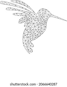 low poly vector illustration of hummingbird.