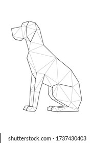 Low poly vector illustrations of dogs. Great Dane sitting.