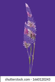 Low poly vector of pink Primrose in half fill wireframe. Flower triangle geometric illustration. Abstract polygonal art. With dark purple color background. Ideal for illustration, posters or t-shirts.
