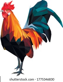 low poly vector rooster color model