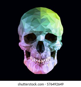 Low poly vector skull in 3d realistic look