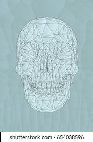 Low Poly Vector Skull Drawing Graphic Illustration On Light Blue Facet Background