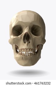 Low poly vector skull front view in 3d realistic look