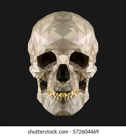 Low poly vector skull in realistic look
