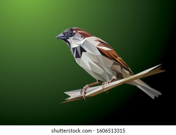 Low poly Vector of a sparrow in high details. With green black color background. Ideal for illustration, wall decoration or t-shirts. EPS 10.