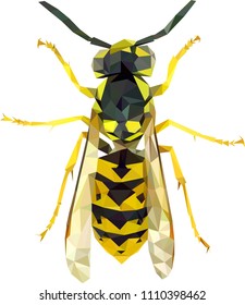 Low poly wasp, Wasp from triangles, vector graphics wasp