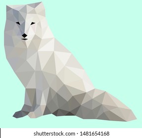 Low poly wild vector 
polar fox