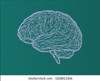 Low poly wireframe brain illustration with chalk drawing style on green board background