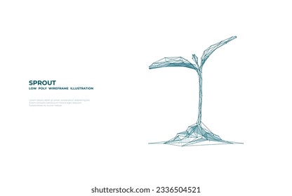 Low poly wireframe growing plant as a symbol of prosperity and growth. Polygonal isolated sprout on white background. Abstract digital farming and biology concepts consist of polygons, connected dots.