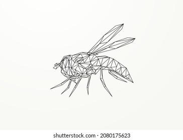 Low poly wireframe of a hornet in black color. Vector animal triangle geometric illustration. Abstract polygonal art with white color background.