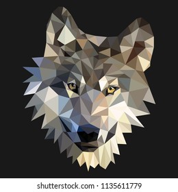 Low poly wolf head vector