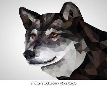 Low poly wolf illustration.