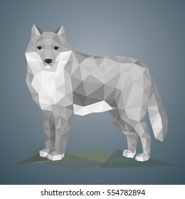 Low poly wolf. Vector illustration in polygonal style. Beautiful forest animal on gray background.