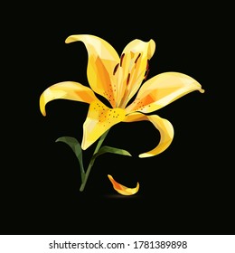 Flor de lirio delicada, bajo color amarillo poly, sobre un fondo oscuro. Ilustración del vector