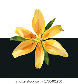 Low poly yellow lily flower with leaves close up. Vector illustration for your projects