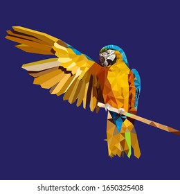low poly yellow parrot ,macaw bird vector illustration.