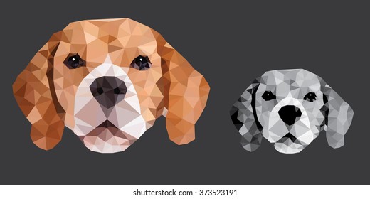 Low Polygon Beagle Dog, Face portrait, Vector