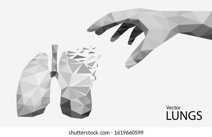 Low polygon black and white lungs images used in medicine and the background