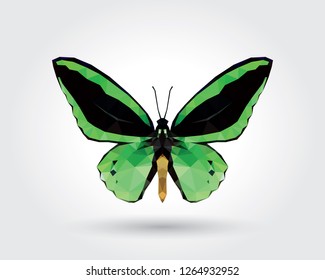Low polygon butterfly green wings black stripe isolated on white background, fresh verdant insects flying. Logo icon geometric. Bug polygonal crystal style.