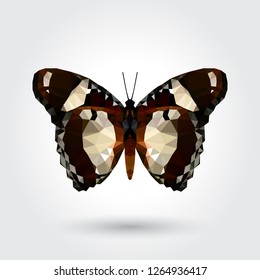 Low polygon butterfly white dot black stripe wings isolated on white background, fresh brown insects flying. Logo icon geometric. Bug polygonal crystal style.