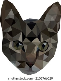 Low Polygon Face Of A Dark Cat