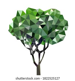 Low polygon fresh green leaf temple tree, small plant green fresh leaf branches, white background isolated
