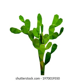 Low polygon fresh green opuntia tropical cactus isolated on white background, desert leaf geometric vector tree icon illustration.