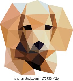 Low polygon geometry animal dog. Low poly style vector. Low poly design.