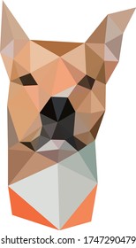 Low polygon geometry animal dog. Low poly style vector. Low poly design.