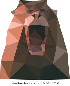 Un animal divertido con geometría de polígono baja. Vector de estilo de polos bajo. Diseño de polos bajos.