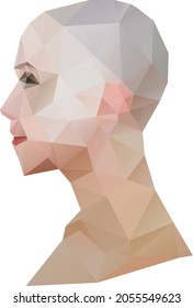 low polygon human face profile vector