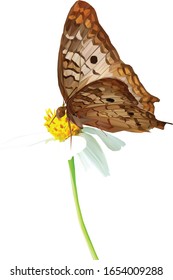 Low polygon illustration of a brown butterfly on a daisy flower, with a gray triangular background