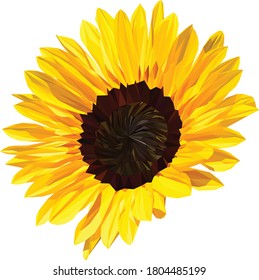 Low polygon illustration of a sunflower
