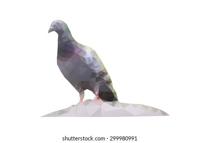 Low polygon pigeon on white background vector EPS 10