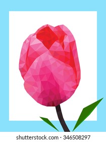 Low polygon pink tulip flower with leaf