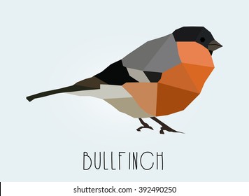 low polygon style bullfinch. vector illustration