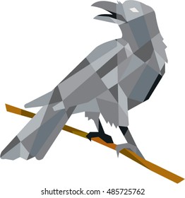 Low polygon style illustration of a crow bird perched on a piece of wood looking back set on isolated white background. 

