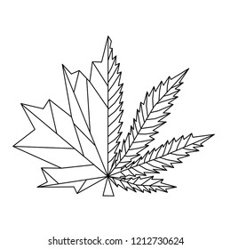 Low polygon style line drawing. Canadian Marijuana, Canada symbol maple leaf and marijuana leaf together with hybrid design.